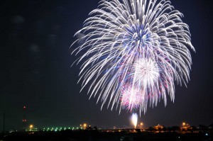 tsubamehanabi2010-1